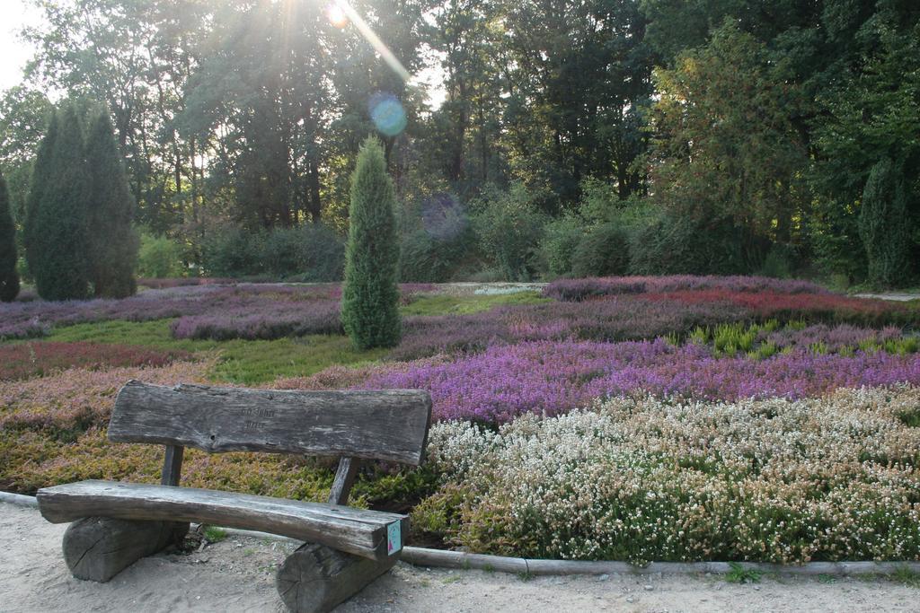 Ferienwohnung Lüneburger Heide Schneverdingen Exterior foto